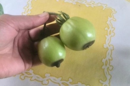 ��� �������� ��������� ����� �� ��������� � ������� ������ ��� ���������