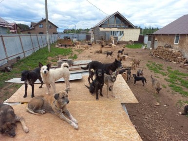 100 ����� ��������� �������� ���� � ���������� �� ����� �������