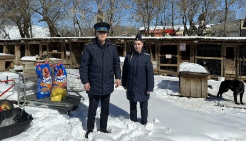 ������� �������� �������� ������� ��������