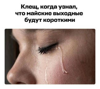 ����� � ��������� ������� ��� �������