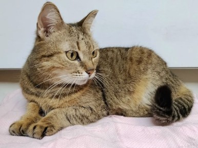 ����� � ��������� ������� ������ ���� ���