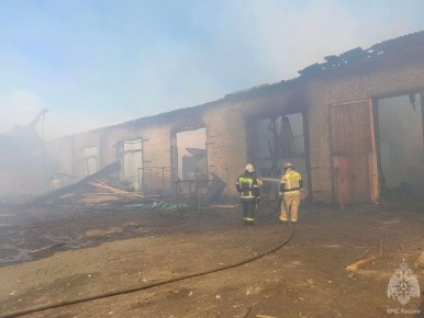 #�����������������. 21 ������* �������-������������ ������������� ��������� ������� ����������� ��: 4 ����������� ������, � ��� �����: