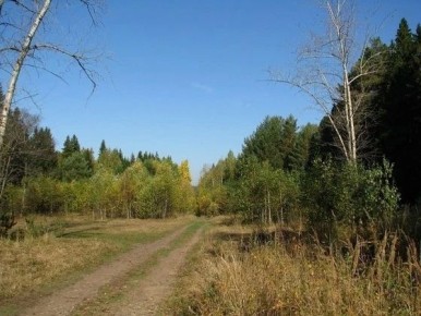 � ��������� ������� ���������� ����� 95% ������� �����