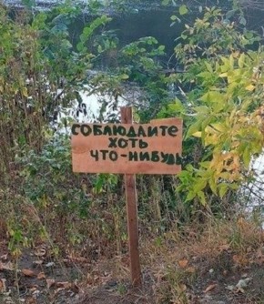 #��������