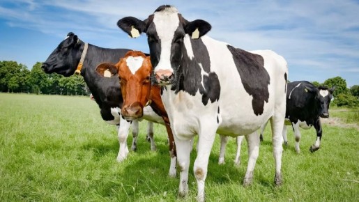 � ��������� ������� ������� ��������� �������������������� �������� � ������������ � ����������� ���������������� ����������� ����������������� ������������