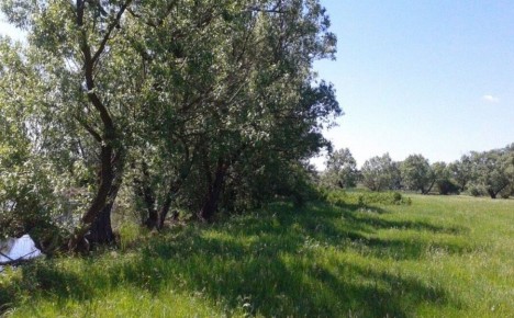 ��������� �����: ������ ����� ��� ������� �������� ������ ��������