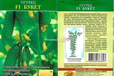 ����������� ������� ����� �����: �� ������������� �� �����