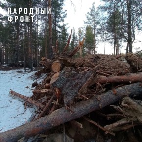 � ���� ����� ������� ��������� ���� �������� ��������, ���� ������ � ���