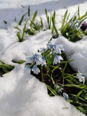 ����� � ������������ ���� ������ �� ���������� �������� ������