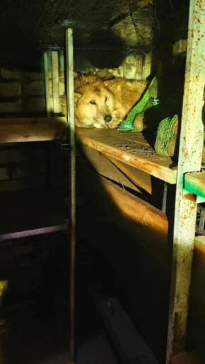 �� ����� ���������, ������� ��������