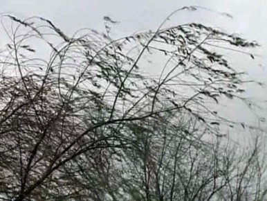 ��������: ��������� ������