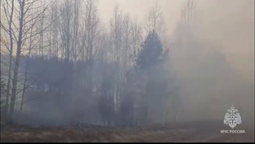 � ��������� ������� ������ ������� ����� �� ������ ��������