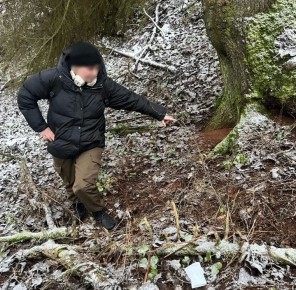 ����: � ������ ������� �������������