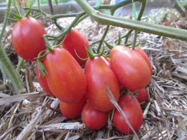 ��� ������� �������� � ���������� ������: ������� ������� ������