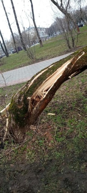 � ����� ����� ������ ����� ������� ��-�� ��������