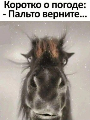 #��������