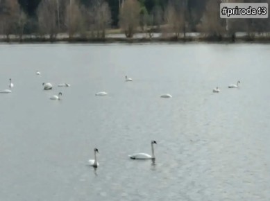 �� ������� ��������� ������� ��������� ������ ������