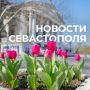 ������ ���������: ������� � �������.. ������� ��������� ������������� �����������. ��������: