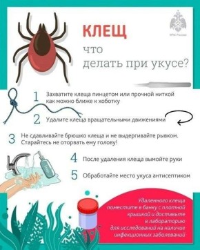 ���� �� �������������� �� ���� � ���������, �� ���� ��� ������������ �����