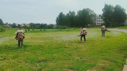 �50-100 ������ ������������
