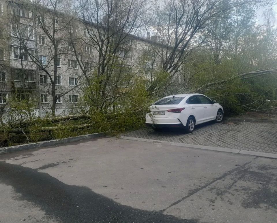 Фотографиями последствий вчерашней стихии делятся наши читатели