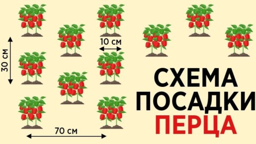 ��� ��������� �������� �����: ������� ��������� ��� ��������� ������