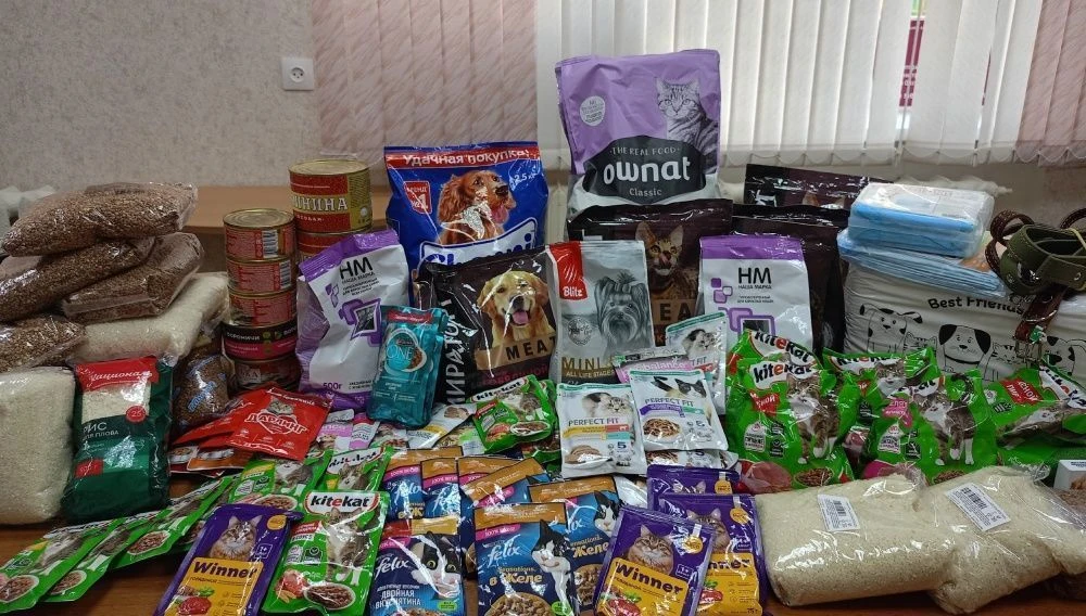 Кировчане собрали 60 кг корма для бездомных животных