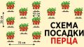 ��� ��������� �������� �����: ������� ��������� ��� ��������� ������