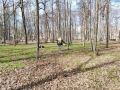 ������� ������������� ��������� ���� ������������ �� ������