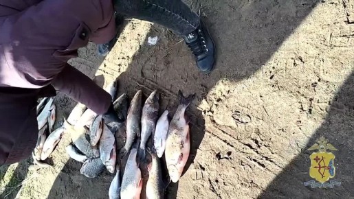 В Слободском районе полицейские задержали браконьеров