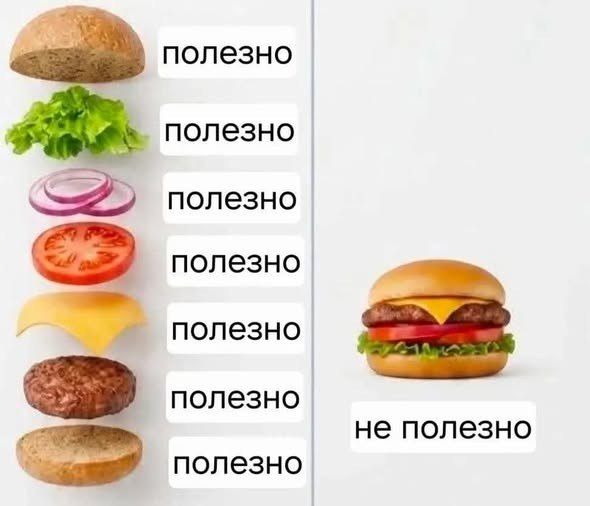 #шуткадня