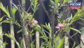 �� �������, 19 ���, � ��������� ������� ������������ ���������� ���������� ���� � ������������ ������ ����� ��� ������������ �������, �������� � ������������ ������ �� ����������������� � ����������� ���������� �����