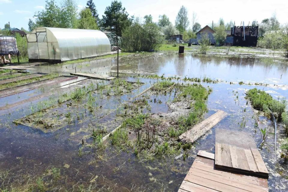 В Большой Субботихе из-за забитой трубы оказались затоплены около 10 участков