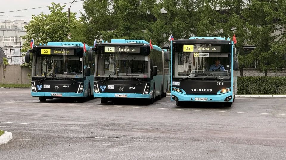 Управлять 18-метровой махиной — искусство, которое в Петербурге возведут в абсолют Управлять 18-метровой махиной — искусство, которое в Петербурге возведут в абсолют