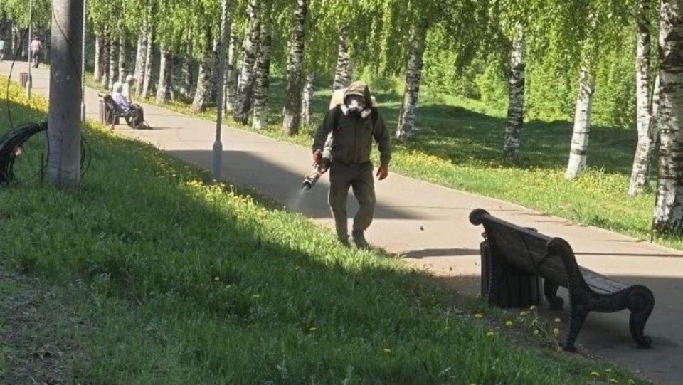В Кирове началась обработка территорий от клещей