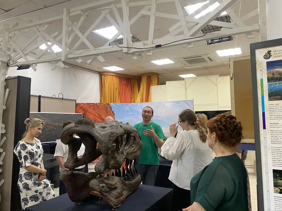 Выставка Вятского палеонтологического музея «Древняя жизнь» открылась в Саратове