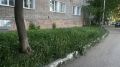 В Кирове начали проверять газоны во дворах