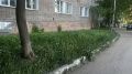 В Кирове начались проверки управляющих компаний на предмет покоса травы на придомовых территориях