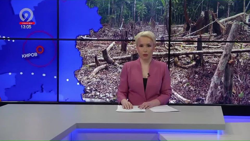 В Уржумском районе осужденный лесоруб возместил причиненный ущерб лесному фонду Российской Федерации