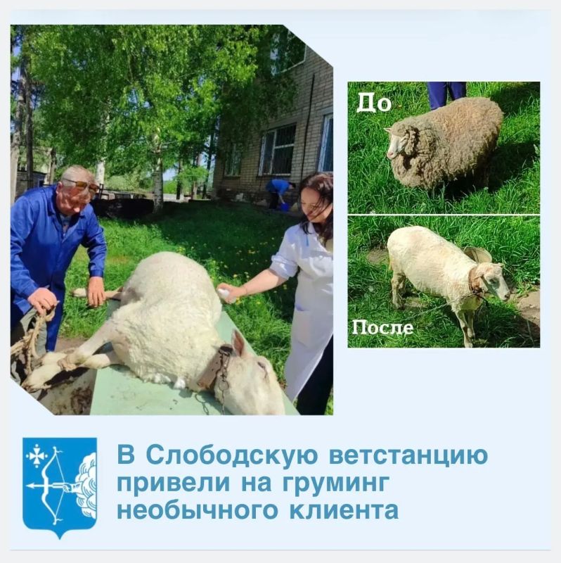 Весна — время обновления, и даже наши четвероногие друзья не остаются без внимания!
