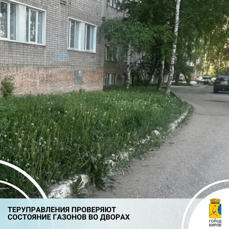 Специалисты теруправлений начали осмотр дворовых территорий на предмет надлежащего летнего благоустройства