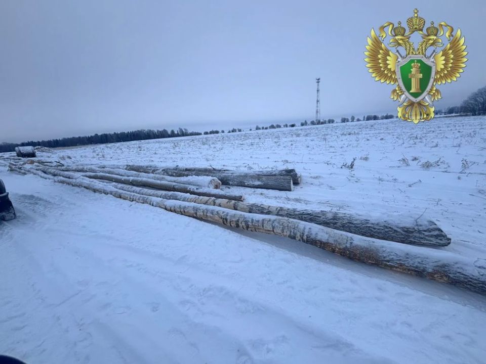 В Уржумском районе осужденный лесоруб возместил причиненный ущерб лесному фонду Российской Федерации В Уржумском районе осужденный лесоруб возместил причиненный ущерб лесному фонду Российской Федерации