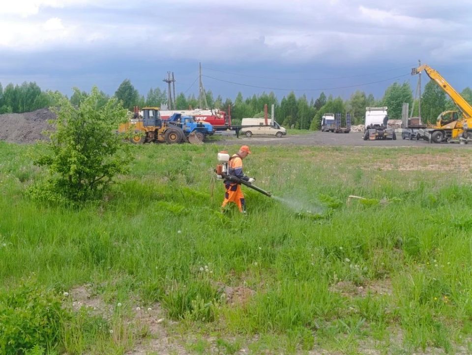 В Кировской области идёт ежедневная работа по содержанию трасс В Кировской области идёт ежедневная работа по содержанию трасс