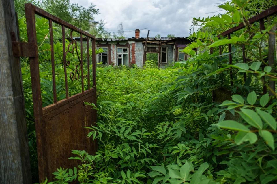 Росреестр разъяснил критерии признания земельных участков неиспользуемыми