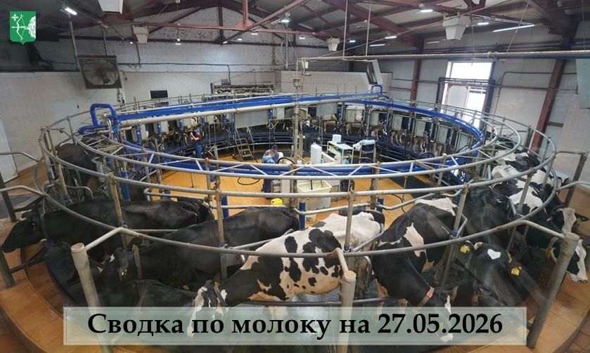 Аграрии Кировской области наращивают производство молока: суточные надои превысили показатели прошлого года