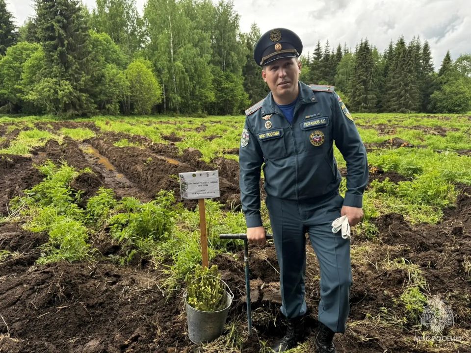 Сотрудники МЧС России присоединились к Всероссийской акции "Сады памяти" Сотрудники МЧС России присоединились к Всероссийской акции "Сады памяти"