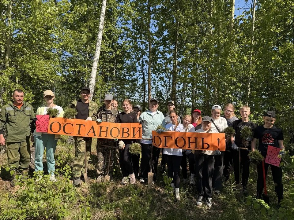 Открытый урок лесного отдела министерства Яранского лесничества