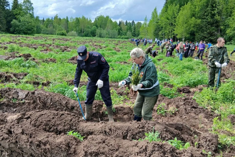 Сотрудники УМВД России по Кировской области приняли участие в ежегодной международной акции «Сад памяти» Сотрудники УМВД России по Кировской области приняли участие в ежегодной международной акции «Сад памяти»