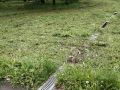 ���������� ������ �������� � ��������� � ���������������� ������������ �����