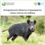 С 1 июня в Кировской области открывается охота на кабана